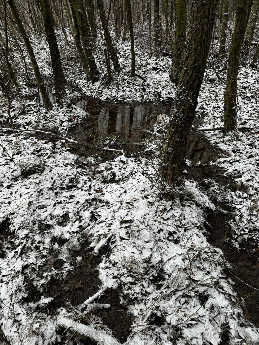 MIRECLIM project tweet media