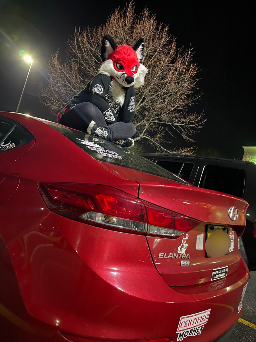 Red fox on a red car ❤️‍🔥 #furry #furrytrash #fursuit #fursuiter