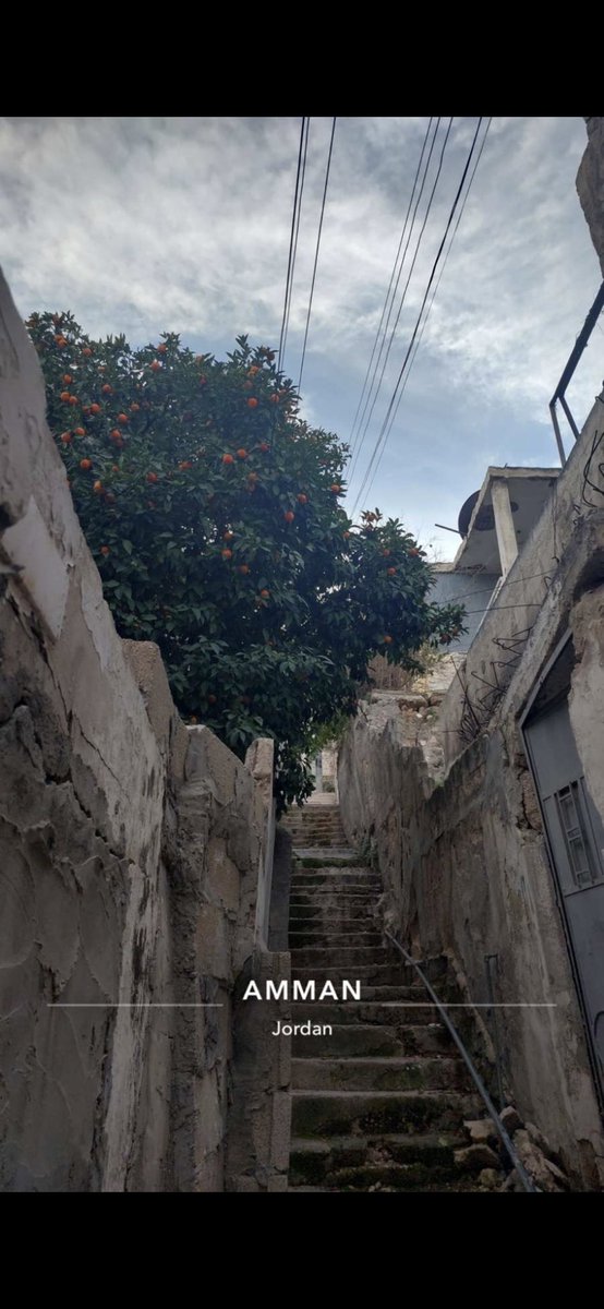 Tagzll's tweet photo. 📍🇯🇴 الاردن https://t.co/6rn8IEzDL3