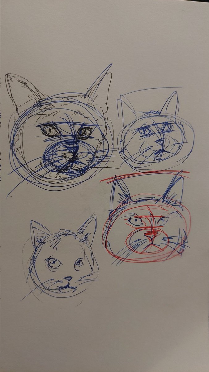 Stareless_'s tweet photo. Cat studies
#drawing #art #sketchbook https://t.co/9u9tgwau0x