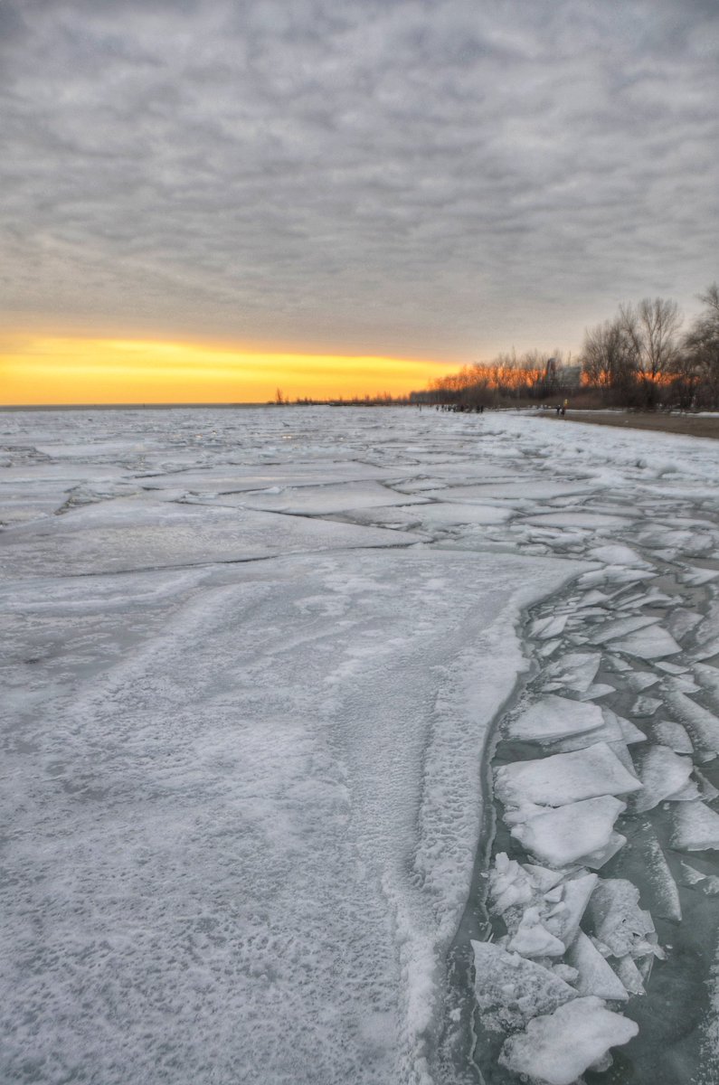 Golden moments, 
a frozen beauty.

Good morning 
#photooftheday