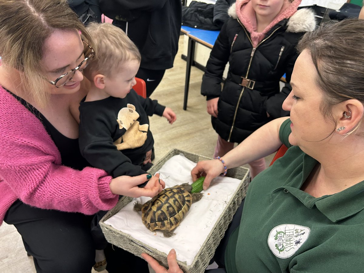 rotherhamdc's tweet photo. What a fabulous event we have had today with a visit from Leanimals! Thank you so much to everyone for coming, we have loved seeing you all. Thank you to the committee, youth committee and volunteers too 
💚 https://t.co/zkMDxOLmN5