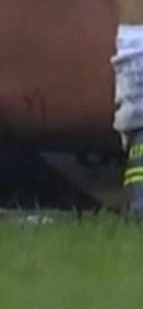 Kevin Bain tweet media