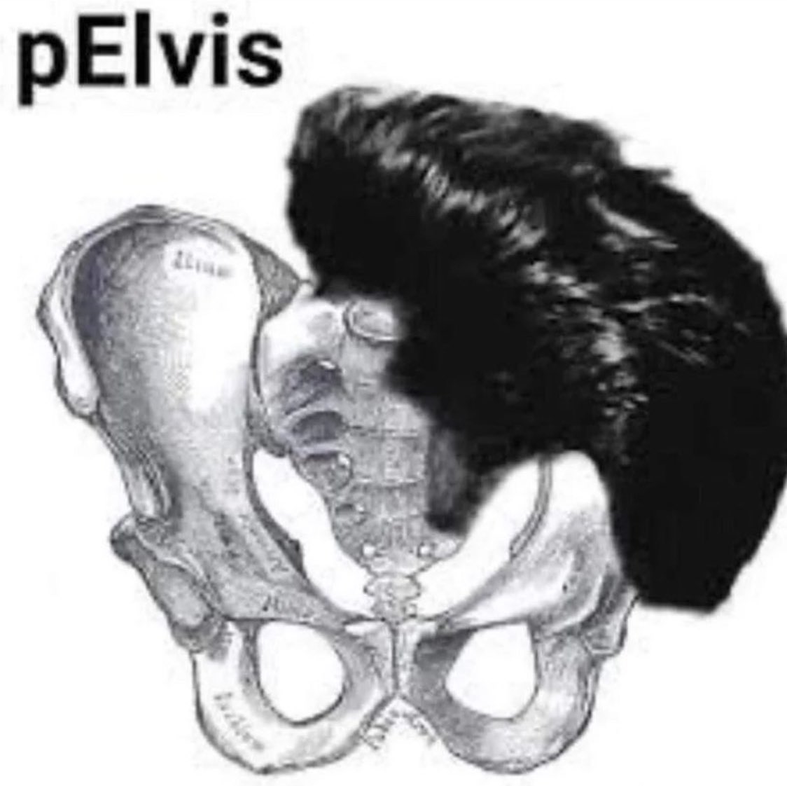 euskal herria fumar (@euskadifumar) on Twitter photo 