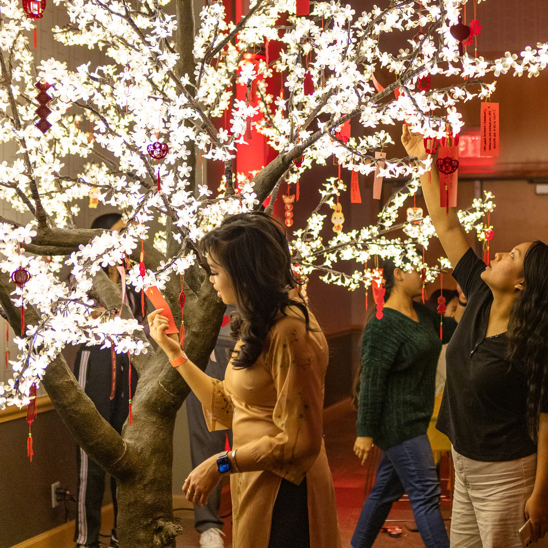 utulsa's tweet photo. The year of the DRAGON 🐲 has started.✨Celebrate the Lunar New Year with #utulsa on Feb. 16 
RSVP here https://t.co/ZnMV5PbKZC
#utulsa #lunarnewyear #yearofthedragon #tulsaok #thingstodointulsa #dei #studentorgs #internationalstudents #collegelife https://t.co/ndjJeMiEu3