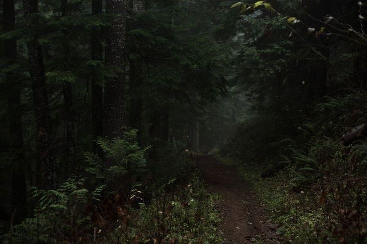 salt (@ancilladominii) on Twitter photo 