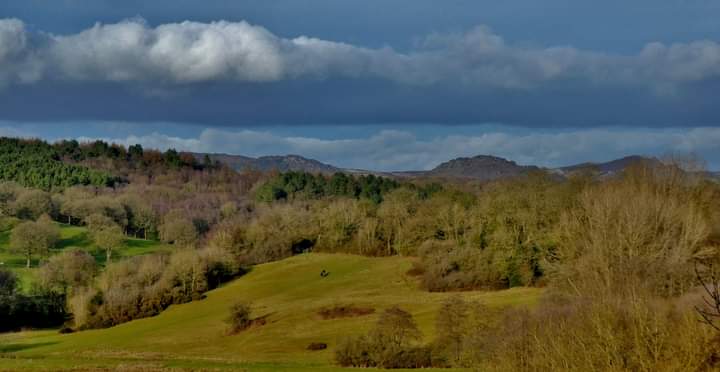 Alan Lees tweet media