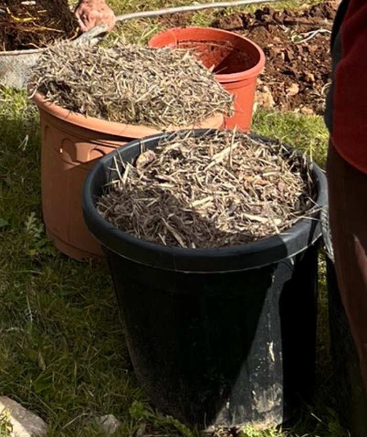 arbopalm's tweet photo. Gracias @Scanyis por difundir arboricultura de la buena:
- inspección de raíces 
- cuerda de pita para entutorado
- material usado para el acolchado final
Son tres cosas muy sencillas, que no cuesta casi tiempo ejecutarlas (el necesario), que el árbol, y el cliente,bien agradecen https://t.co/1L5T5bY01L