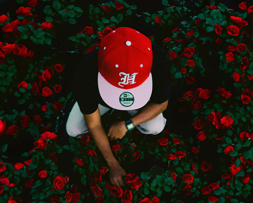 FITTED's tweet photo. 9FIFTY PRIDE - RED / PINK
ALOHA SERVED NIGHTLY TEE - BLACK

Available now.

https://t.co/Kt35oDTsvk https://t.co/Z8bj5H3wbX