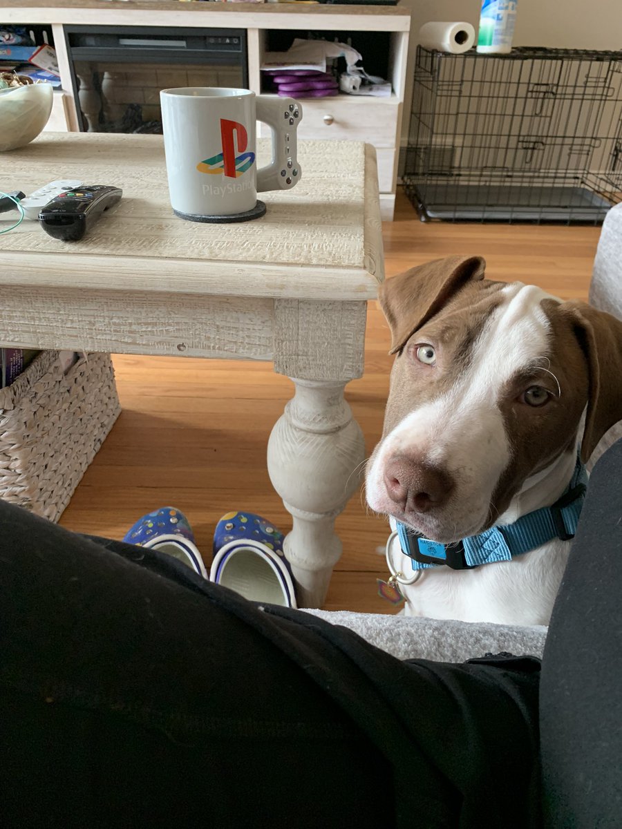 Blanca V. Leon-Carter tweet media