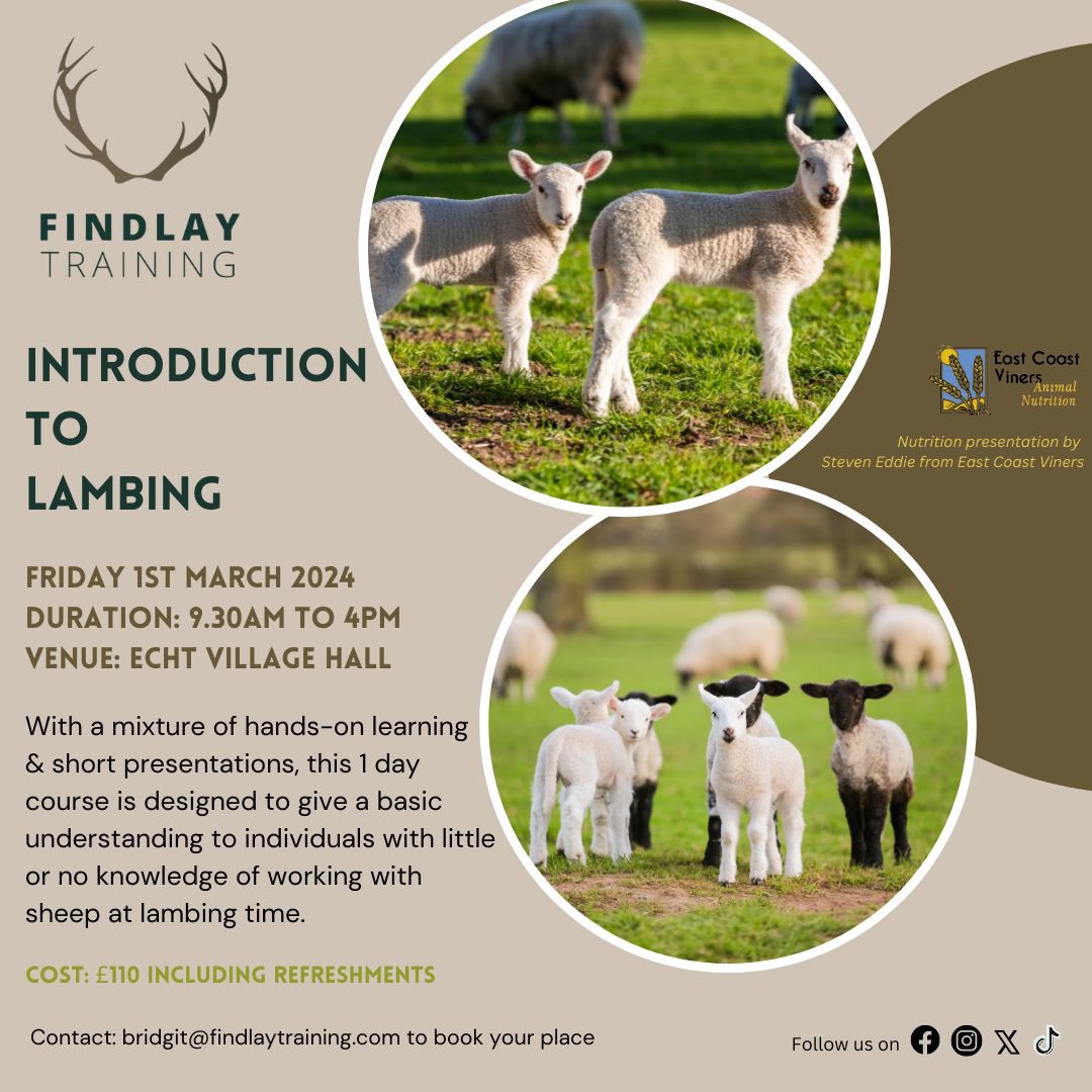 Exciting new #course suitable for individuals with limited experience with #sheep at #lambing time 
#lambingtime #farming #farmer #shepherd #shepherdess #farminginscotland #scottishfarming #lambs #sheepfarming