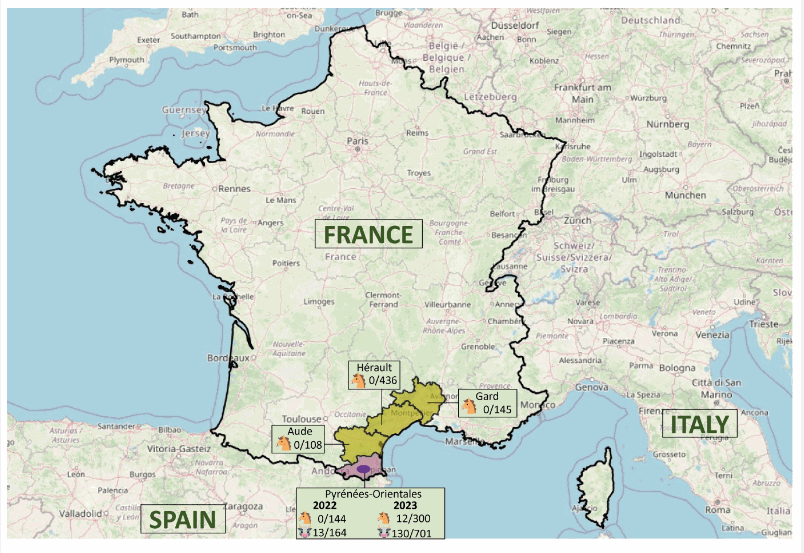XavierAbadMdG's tweet photo. Aquí tenen el mapa... A la Catalunya Nord hem passat de 13 #paparres (#Hyaloma) positives a #VFHCC d'un total de 997 paparres, al 2022, a un impressionant valor de 141 positius de 1001 mostres (un 14%) al 2023. La positivitat s'ha multiplicat per 10 en UN SOL any. https://t.co/fhaiI6KhBe
