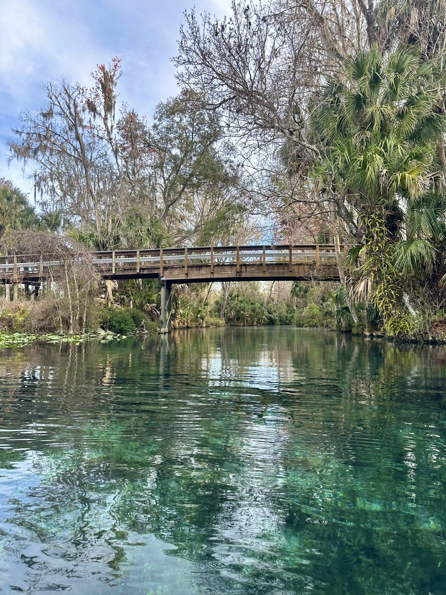 hmmconcannon's tweet photo. A beautiful morning at Silver Springs with @GetUpAndGoKayak 🩵 https://t.co/96rxdfxoBj