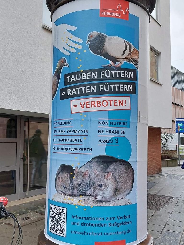 Wer hat der Stadt @nuernberg_de eigentlich ins Gehirn gesch...Ich ertrag diese Idiotie nicht mehr. Nürnberg fällt nur noch negativ auf. Extra gezüchtete Tiere im Tierpark töten,noch immer ein Delphinarium,und dann gegen 2 unschuldige Tierarten hetzen! Stadttauben sind Haustiere!!