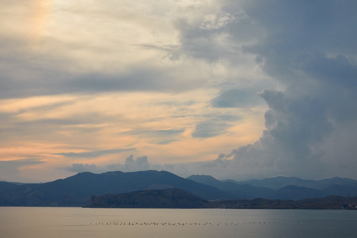 DenisMerinov's tweet photo. Crimea, 2022. Photo by me. https://t.co/V8dPtun8EX