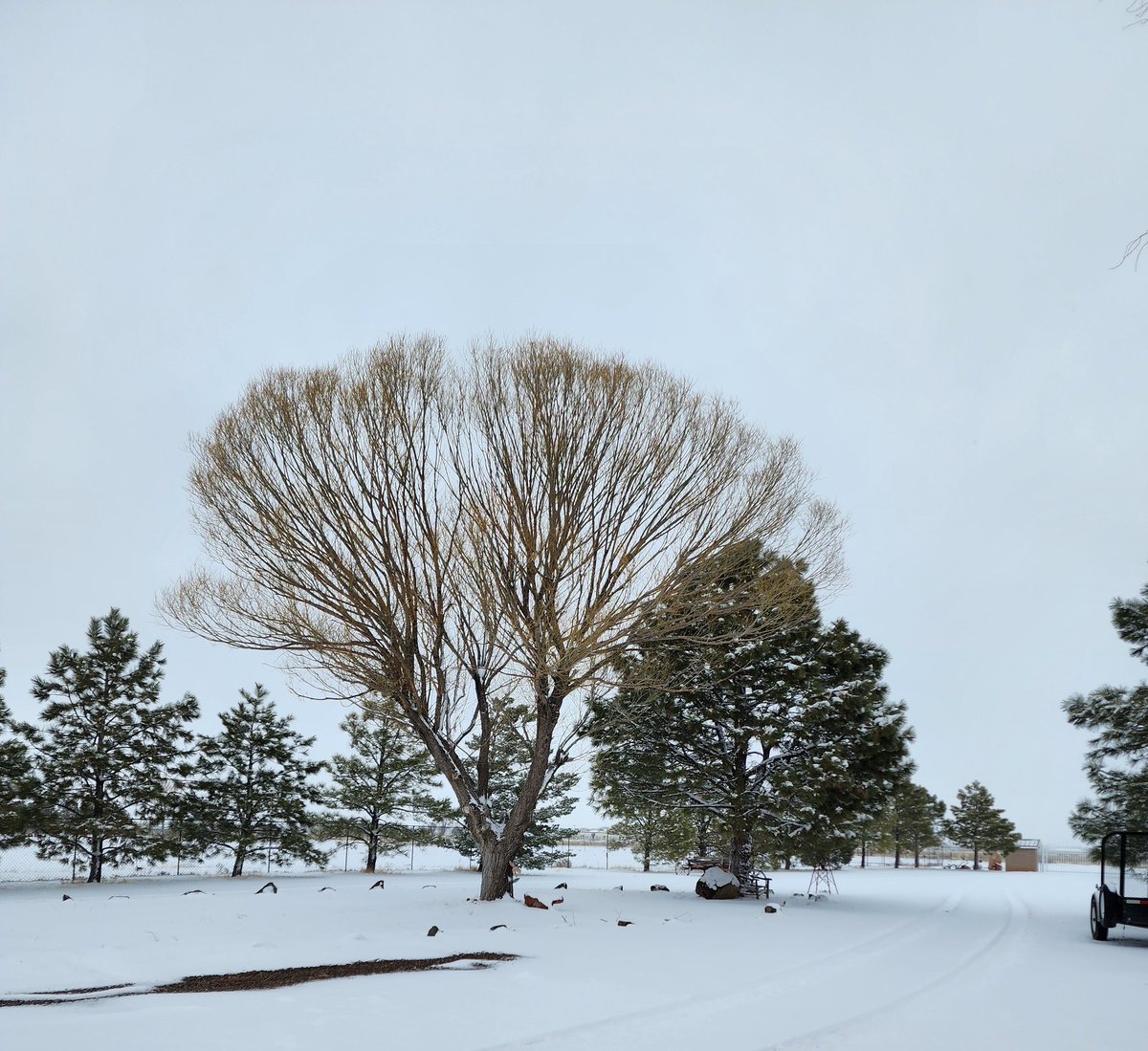 lisaponyexpress's tweet photo. Mother nature on one again😳😳😳 #NMweather https://t.co/9ra2YcIcgP