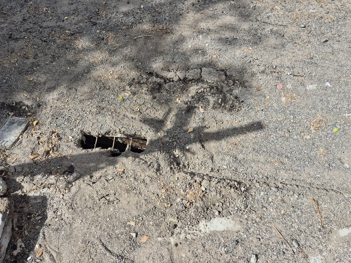 fridagarciagca's tweet photo. Ayer vino AguaH a arreglar una de las calles frente al parque de la colonia apolo, una de las maquinarias se estacionó frente a mi casa y destruyó mi registro, también se hundió la calle; con quien hay que dirigirse para que vengan a arreglar? @aguahermosillo @HermosilloGob https://t.co/Kyef5xkBzZ