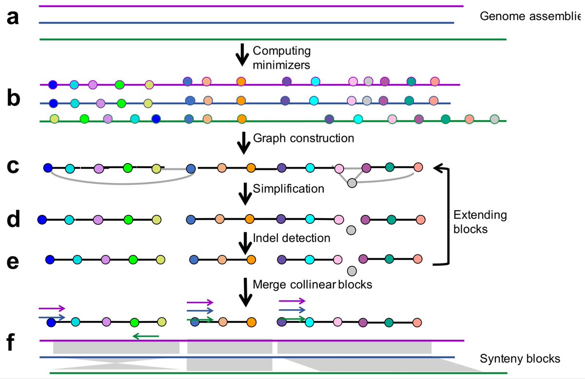 antisense. tweet media