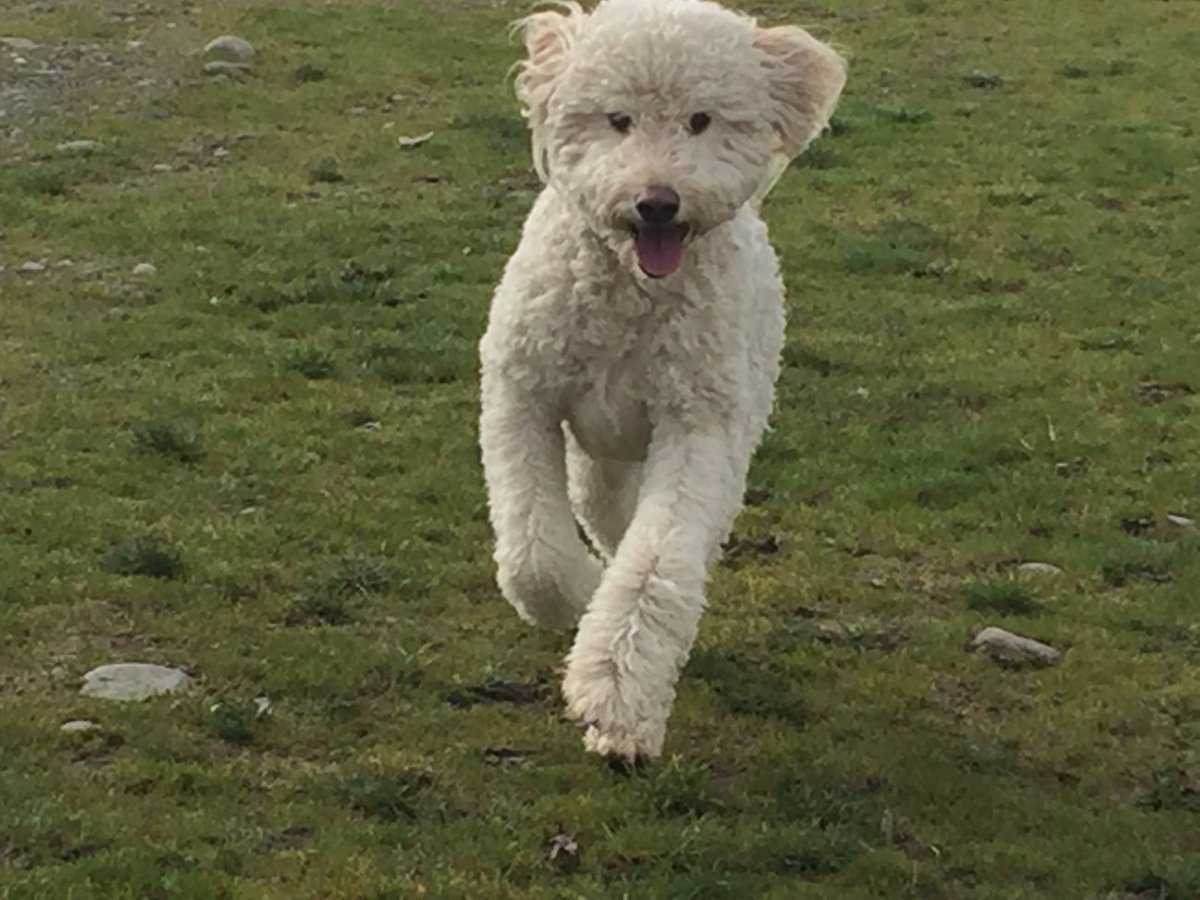 Amy Barzdukas 🇺🇸🇱🇹🇱🇻🇪🇪🇺🇦🇵🇱🇫🇮 tweet media