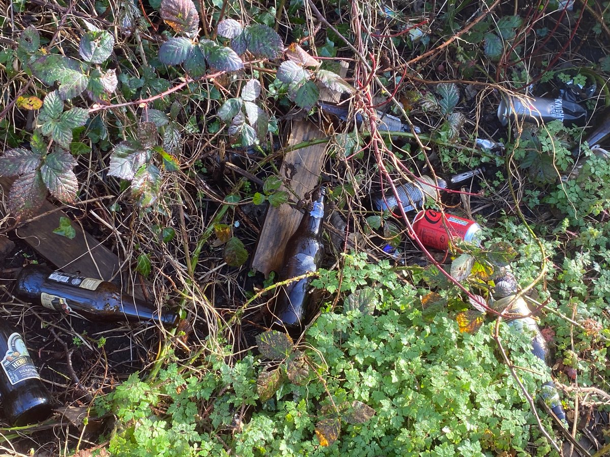 ElyPickers's tweet photo. 10/2/24 ElyBridge and Riverside Terrace- 8 amazing volunteers collected 39 bags !! Making a huge difference in their community. https://t.co/HMZ8CHmjbG