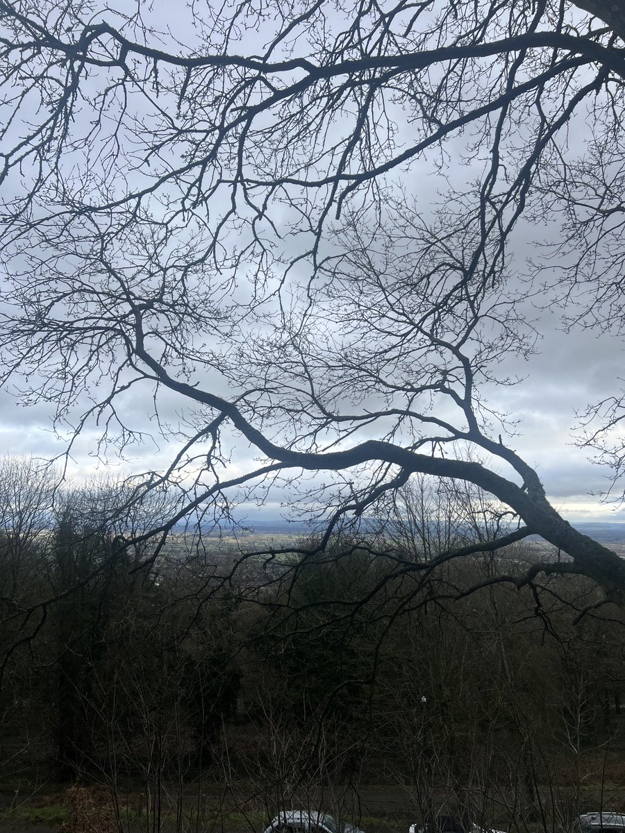 JosieAllan4's tweet image. This is the best time to walk, when the trees are bare.
#magictrees #magicskies #magichill #Malvern #Tolkien #Hobbit