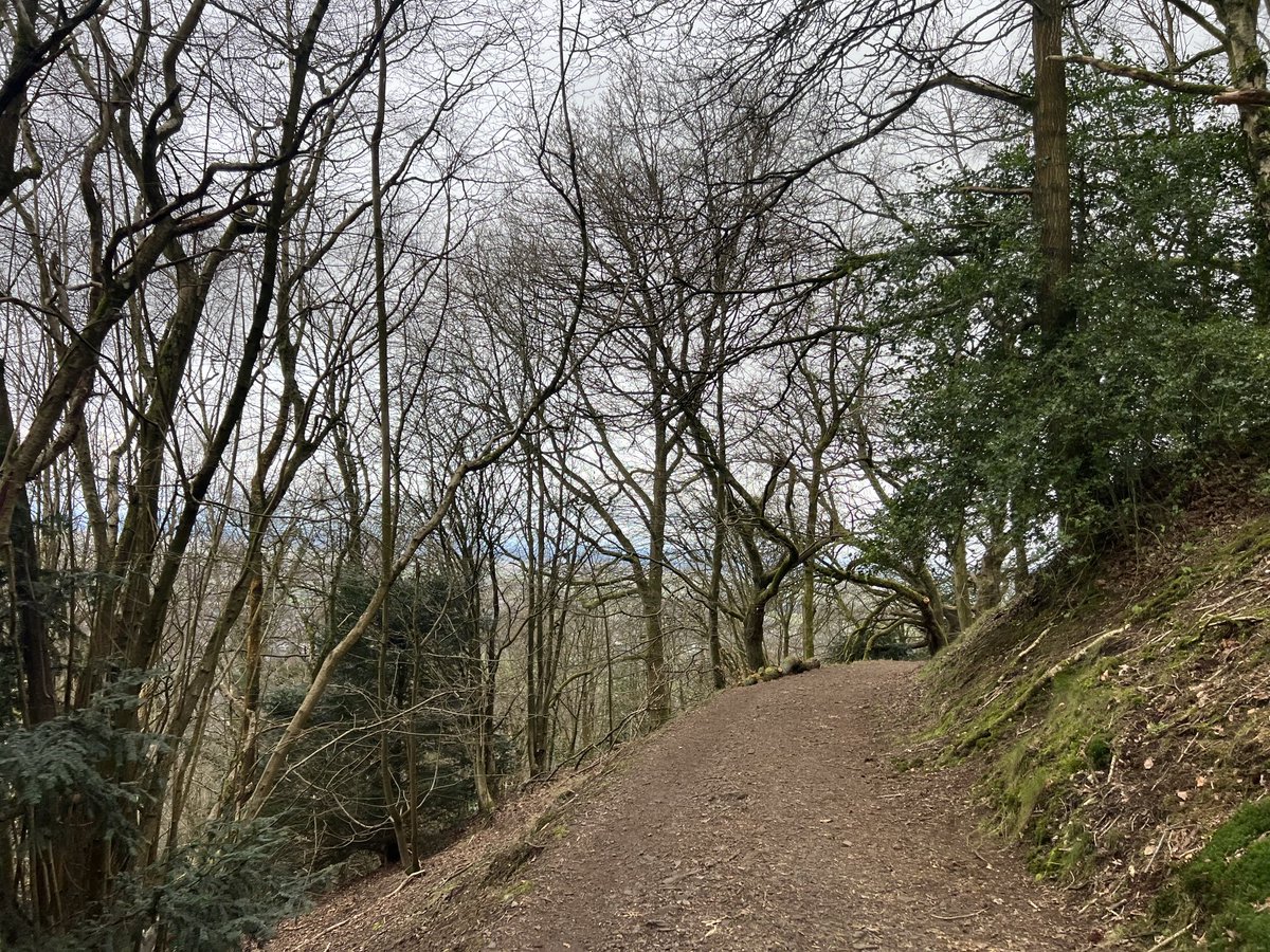 JosieAllan4's tweet image. This is the best time to walk, when the trees are bare.
#magictrees #magicskies #magichill #Malvern #Tolkien #Hobbit