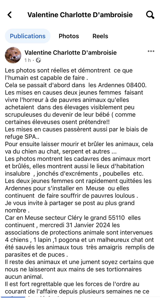 MC19612's tweet photo. 1/ Âmes sensibles s’abstenir !!
C’est une amie à moi de la protection animale qui écrit le texte ! 
A quand un VRAI SECRÉTARIAT D’ÉTAT, à la cause animale !
Que font les élus bon sang !! @RNational_off @RNJ_off @RN_Off85 @RNJ_off85 @Olivier_Monteil @LeDissesEric @rprofficiel vite https://t.co/xV8OrcXXwx