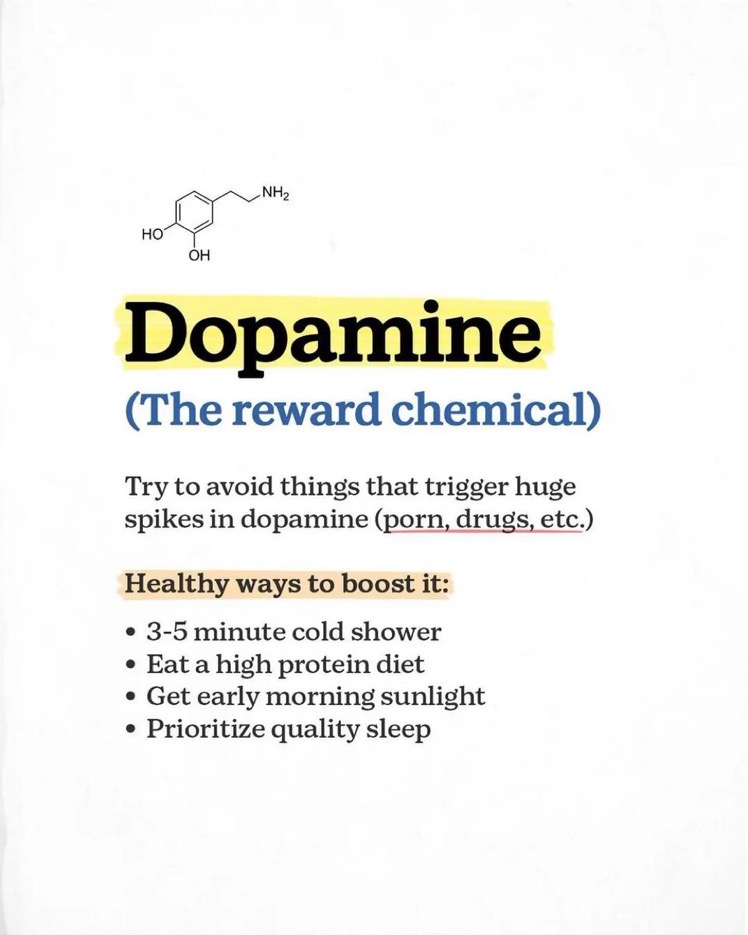 AlexThinkBright's tweet image. How to hack your brain chemicals:

1.