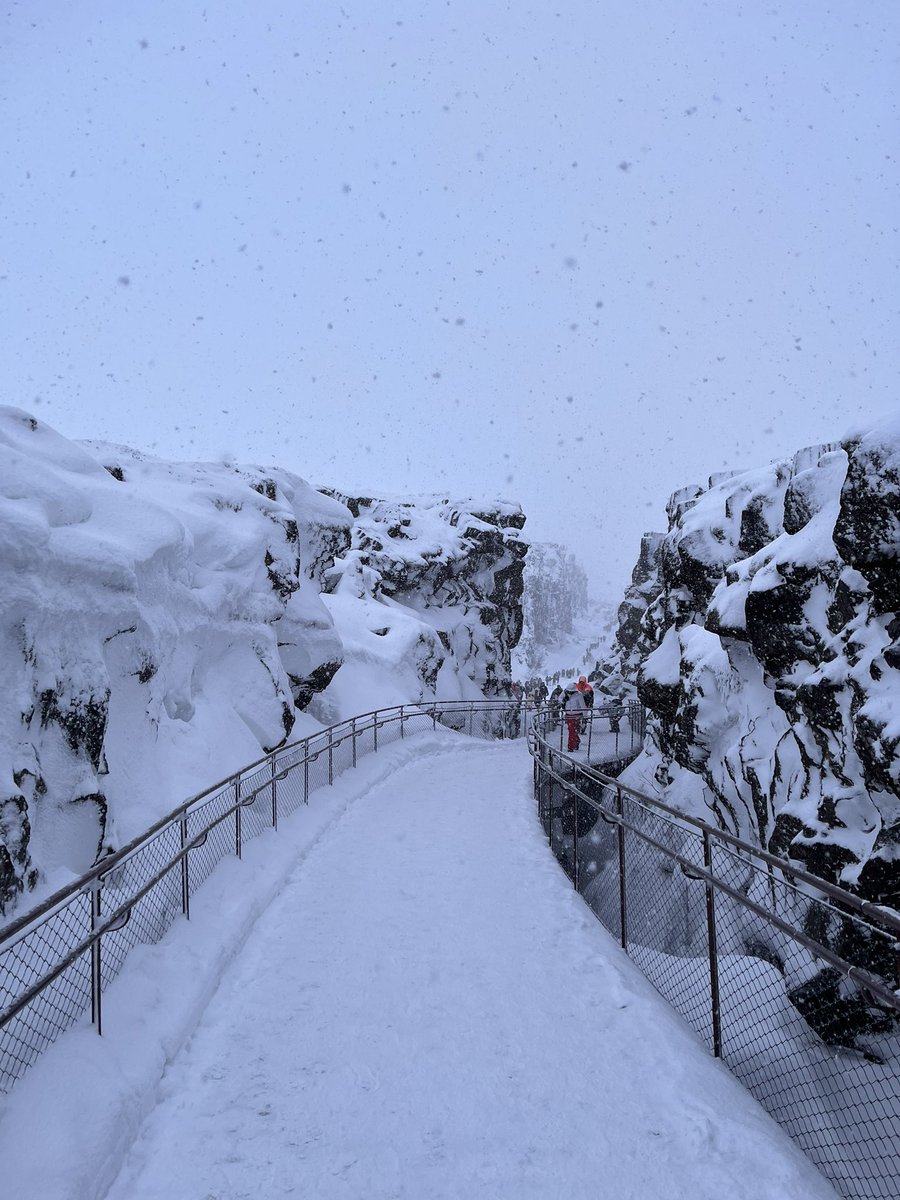 JBCOYS99's tweet image. Þingvellir and Gullfoss are beautiful places 

#Iceland #Þingvellir #Gullfoss #Travel