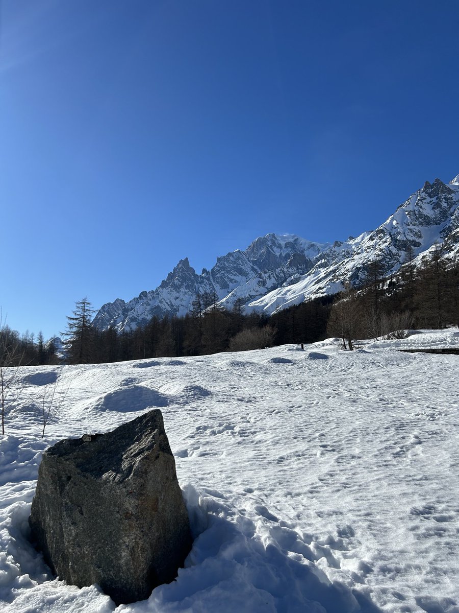 AdrianaArchadri's tweet photo. #ValFerret #Courmayeur adesso https://t.co/WEcevvORHm