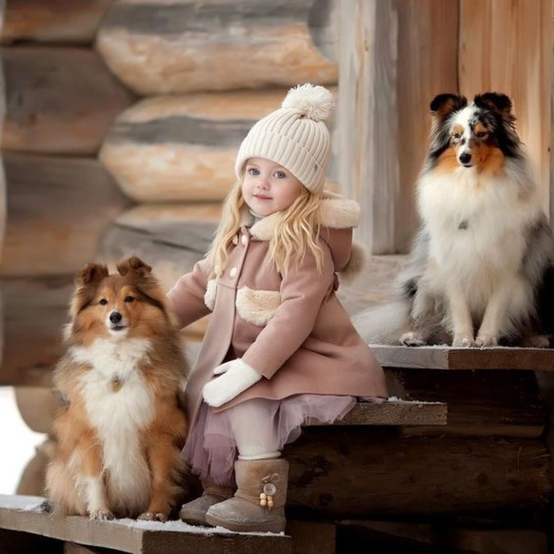 jenifargomez's tweet photo. cuteness .😍

#doglife #dogoftheday #lovedogs #dogs #videodog #puppy #doglover #dogoftheday #petslover #petstylist #pets_of_our_world #petslovers #petslove #petsathome #Everton #Caturday #SaturdayMorning 

cradit:@my_dog_usa https://t.co/iHt1JwQ90f