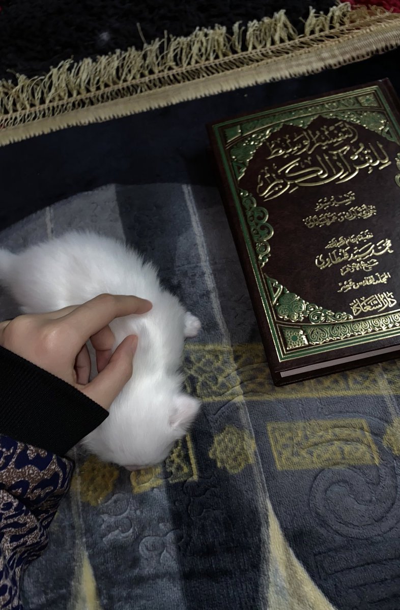AyaMo1213's tweet photo. أَلَا بِذِكۡرِ ٱللَّهِ تَطۡمَىِٕنُّ ٱلۡقُلُوبُ🤍 https://t.co/zOmg9O8RUq