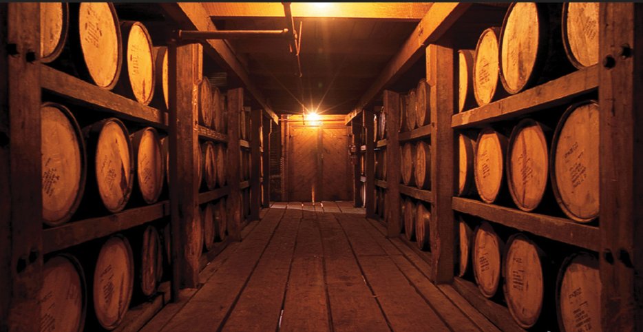 Kentucky tweet media