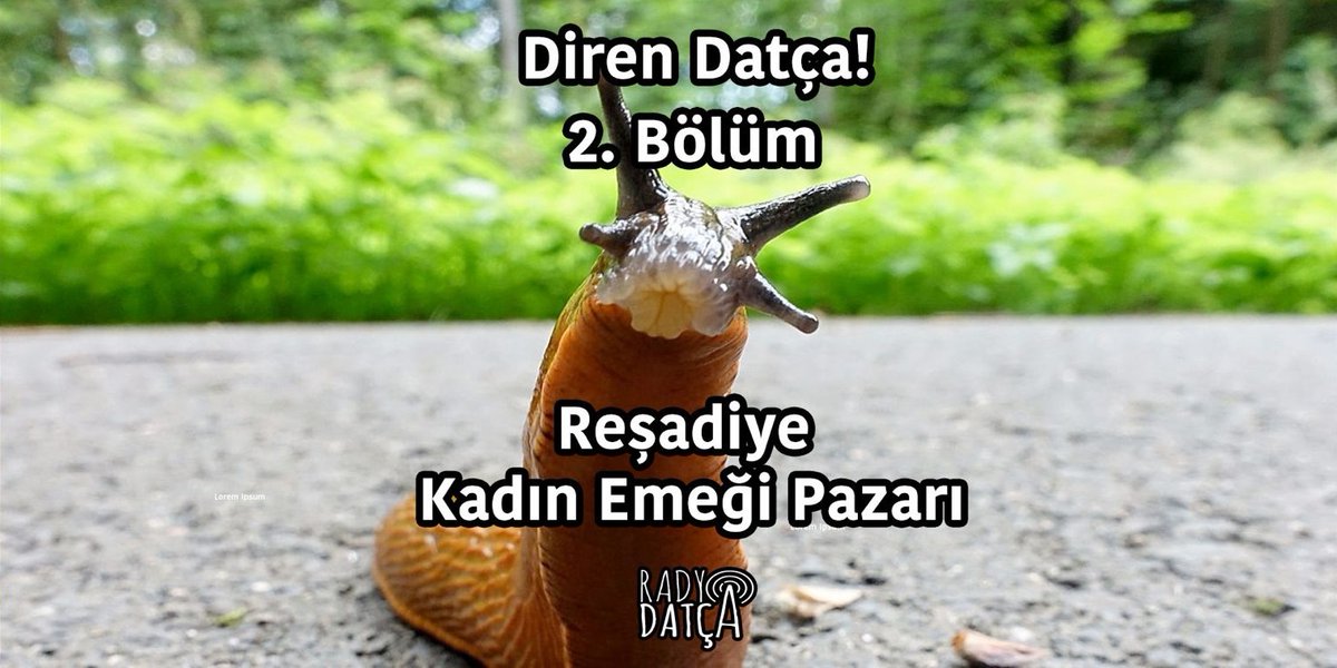 RadyoDatca's tweet photo. Diren Datça 2 - Reşadiye Kadın Emeği Pazarı

Reşadiye Kadın Emeği Pazarı’ndan Saniye Yayla Bilginer, Aynur Sarı ve Özlem Balal ile yaşamları için direnen ve dayanışma içinde olan kadınların mücadelesi üzerine konuştuk.
#RadyoDatça #Datça

Spotify Linki 👇
https://t.co/ugY7WawtIr https://t.co/1aT3R7S1FH
