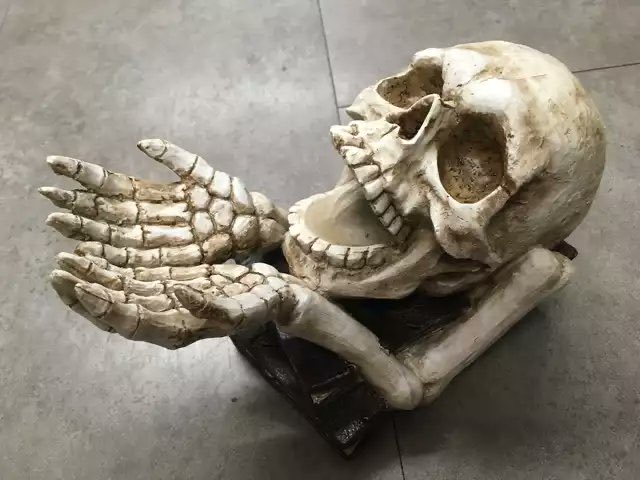 ZimViral's tweet image. Archeologists in 3023 discovering the remains of Zimbabwean men.