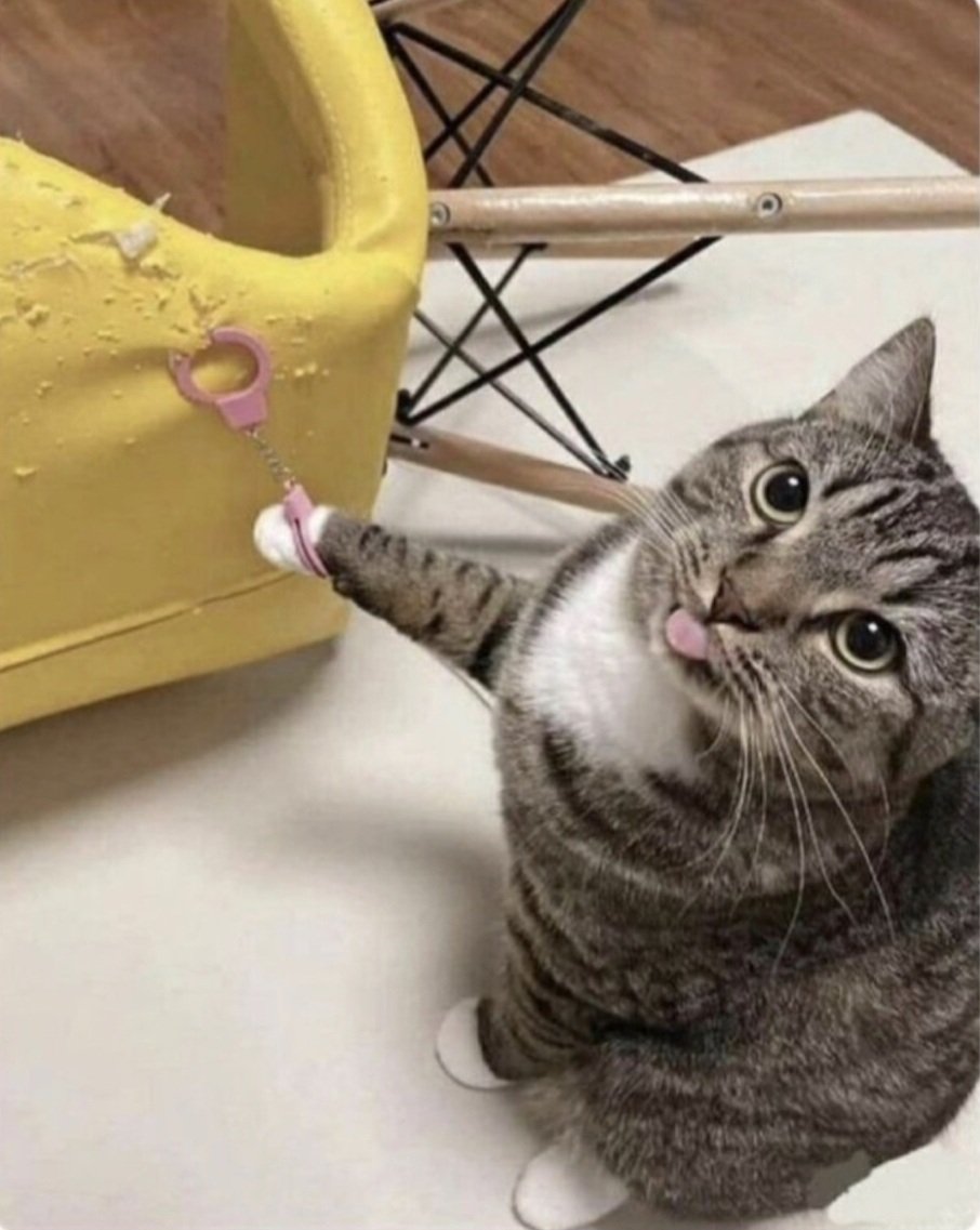 silly has been contained