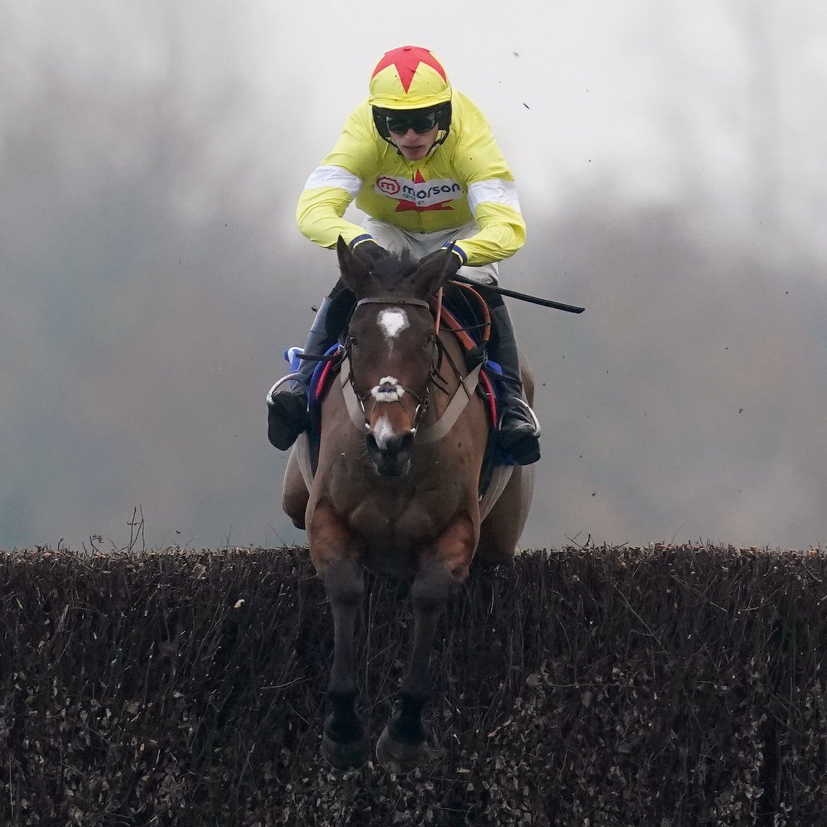 AtTheRaces's tweet photo. Thanks for everything, Hermes Allen 💔 https://t.co/FZSR7syxoS