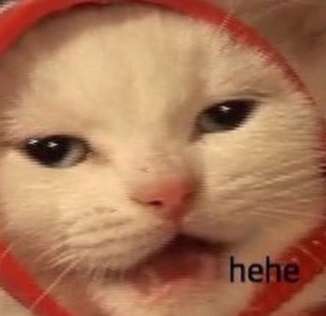 ThatSydGirl's tweet photo. Same Energy https://t.co/lZwE8iEhYT