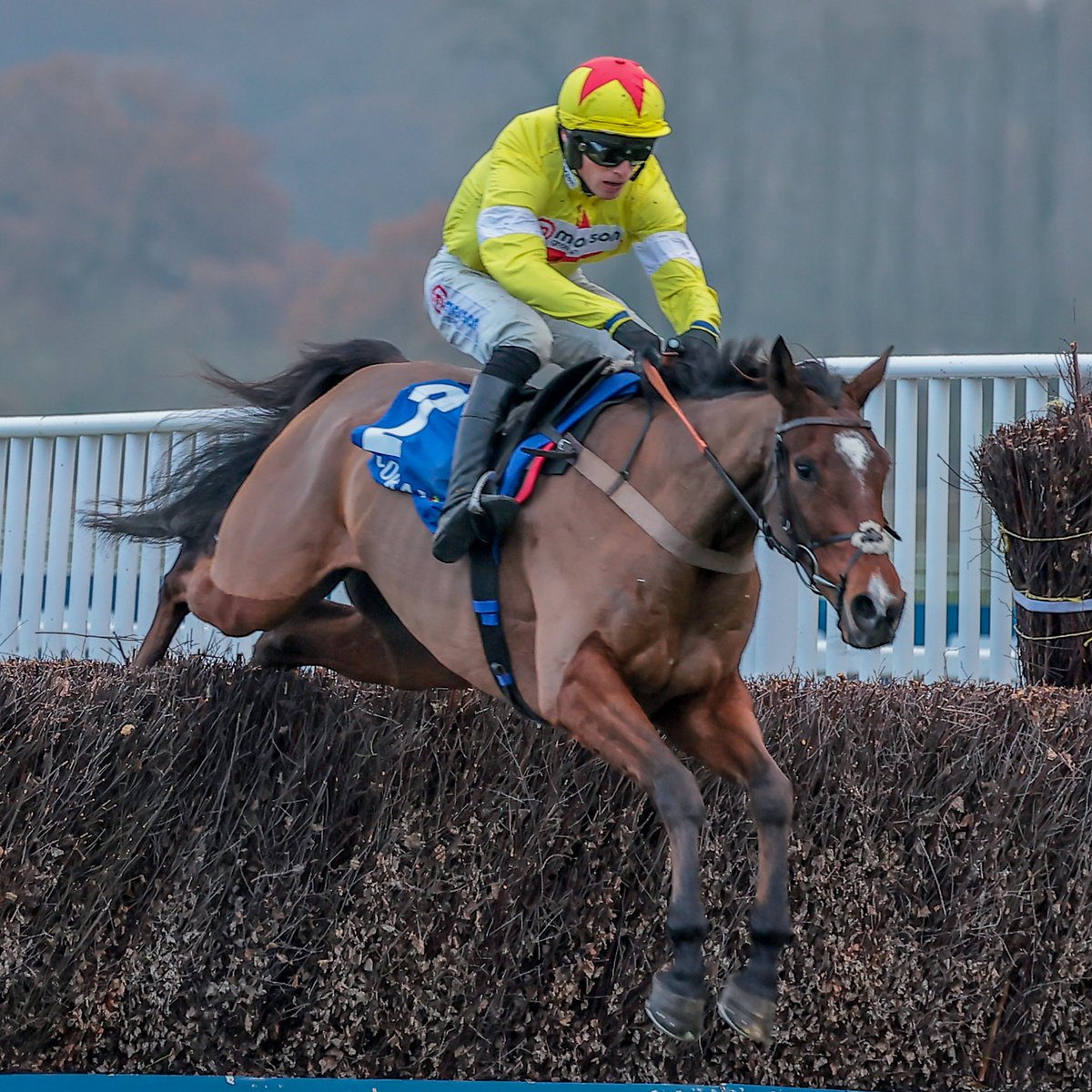 RacingPost's tweet photo. Hermes Allen has sadly sustained a fatal injury at Sandown 💔 

Our thoughts are with connections https://t.co/apZhxlRjom