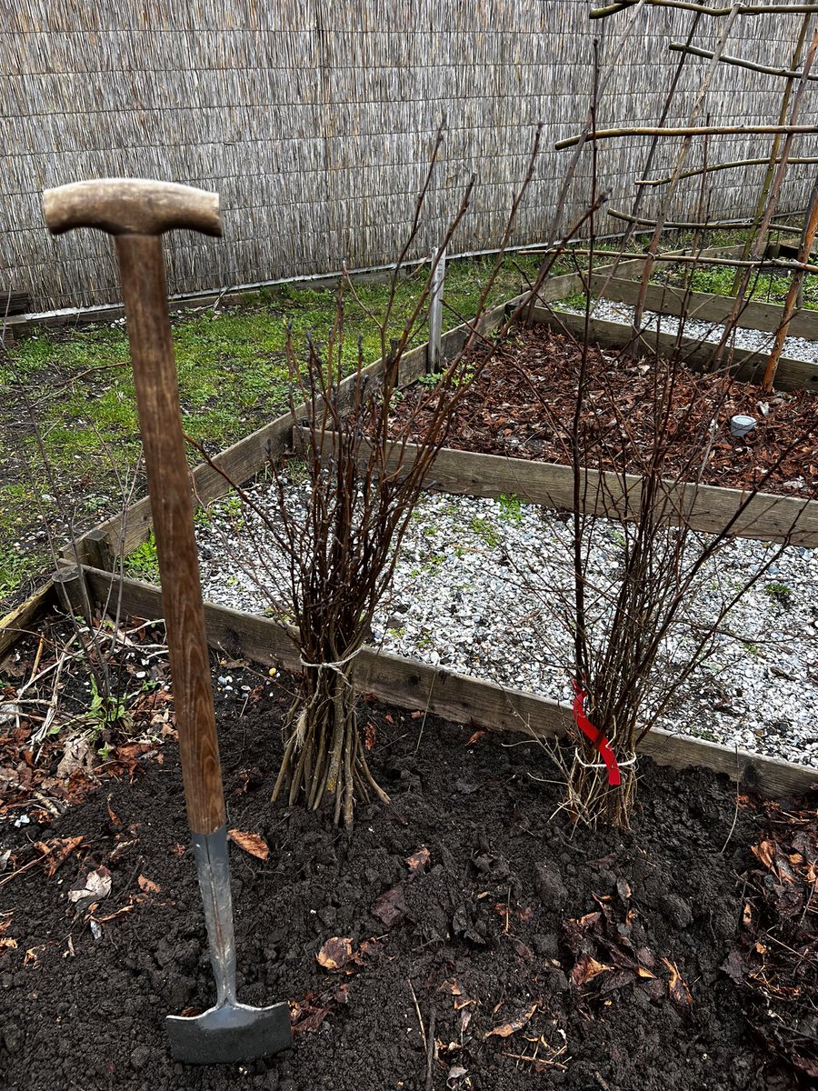 MarcvdGeer's tweet photo. @LaportPaul Zeg dat wel, Paul! Ik heb daar zelf vandaag een mooie bundel Elzen en Berken opgehaald voor op de natuurspeelplaats van @SchatRijk! Grote klasse, deze vrijwilligers! https://t.co/CsrnN5zSIV