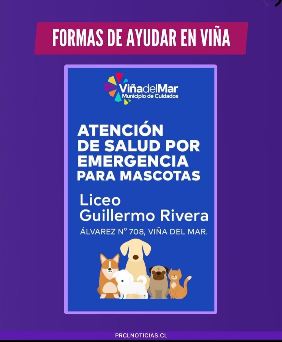 carlosgatic's tweet photo. Atención mascotas afectadas por el #IncendioForestal https://t.co/q93R9iHaJV