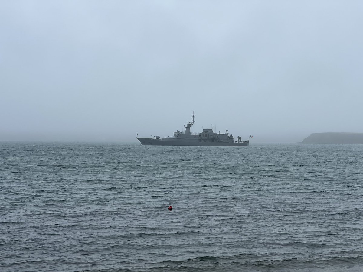 Dull gray day in Bantry Bay 🌫️ @BBKelpForest