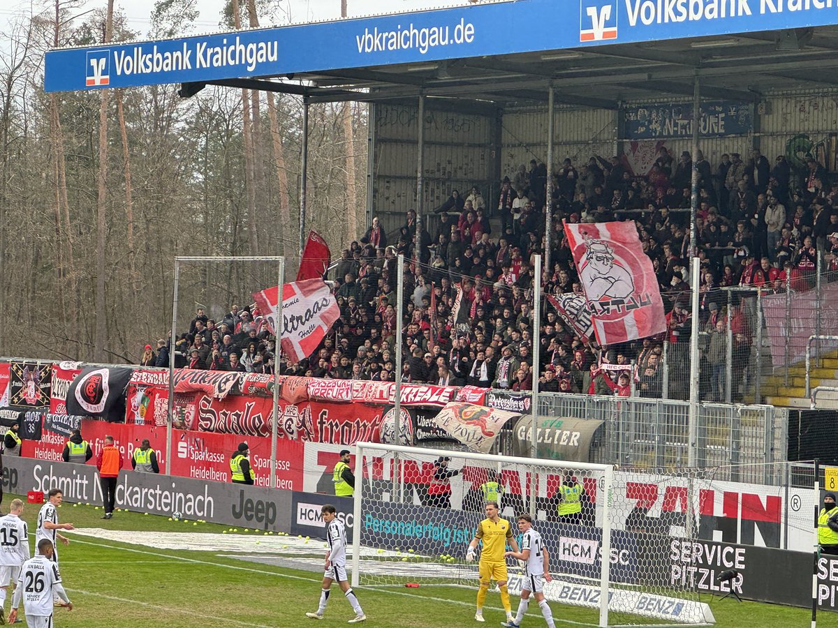 🇩🇪 03.02.2024 - 3. Liga, 24. Spieltag: SV Sandhausen vs. Hallescher FC (1:1) vor 3.335 Zuschauern im Hardtwaldstadion. #groundhopping #groundhopper