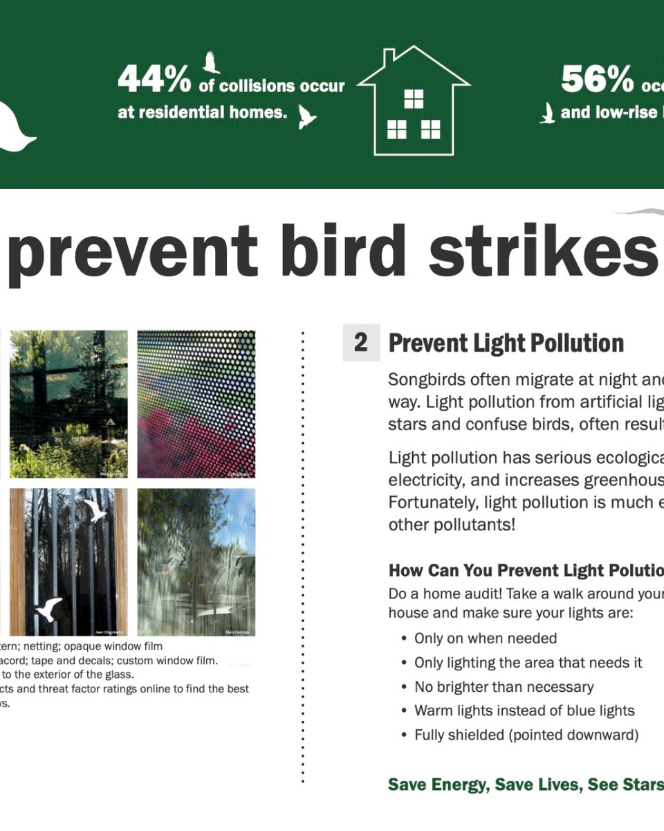 FeatherFriendly's tweet image. Helpful tips to help you prevent bird-glass collisions, brought to you by the U.S. Fish and Wildlife Service

*used with permission from the USFWS*

#birdcollisions #windowcollisions #preventbirdstrikes