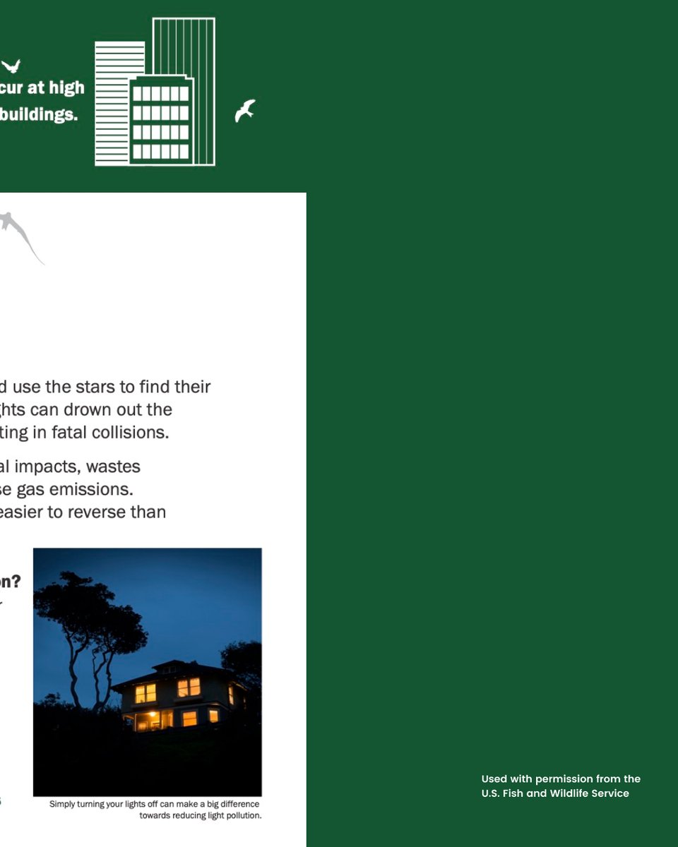 FeatherFriendly's tweet image. Helpful tips to help you prevent bird-glass collisions, brought to you by the U.S. Fish and Wildlife Service

*used with permission from the USFWS*

#birdcollisions #windowcollisions #preventbirdstrikes