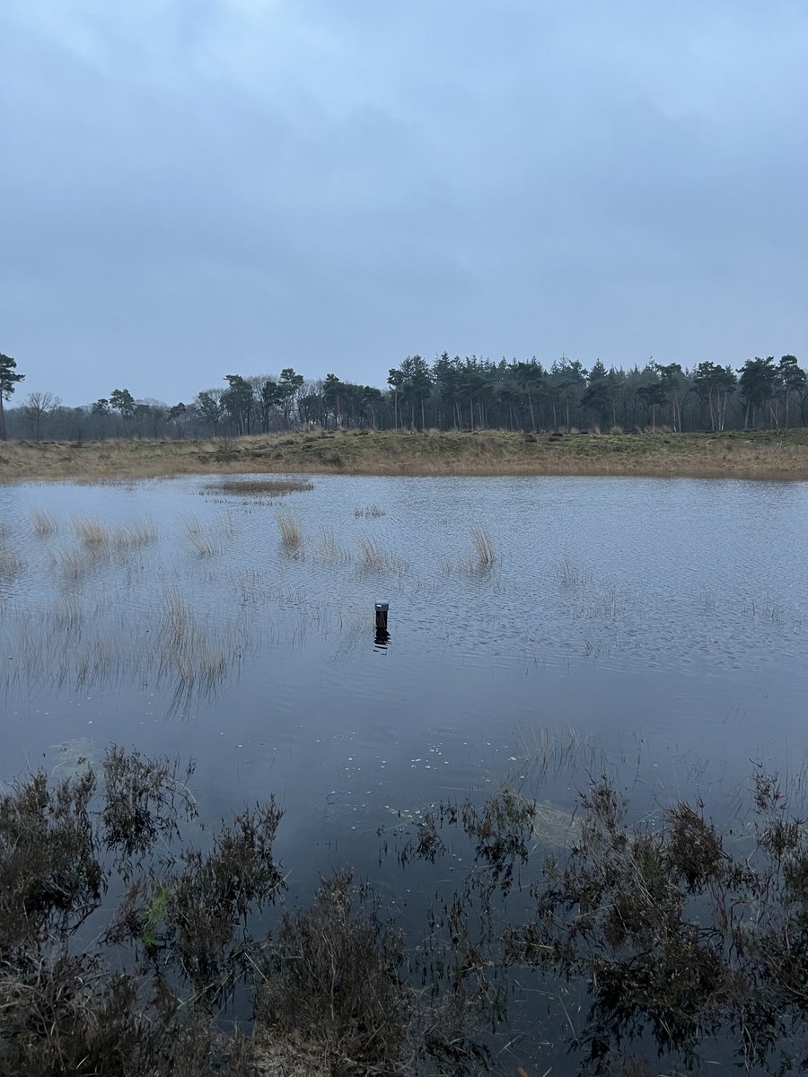 RimbaudLapperre's tweet photo. Laarzen aan en naar het Langven in @Best. Deze hoge peilen misschien pas weer over 50-100 jaar. Of eerder #klimaatverandering ? https://t.co/49i2l3WIkz
