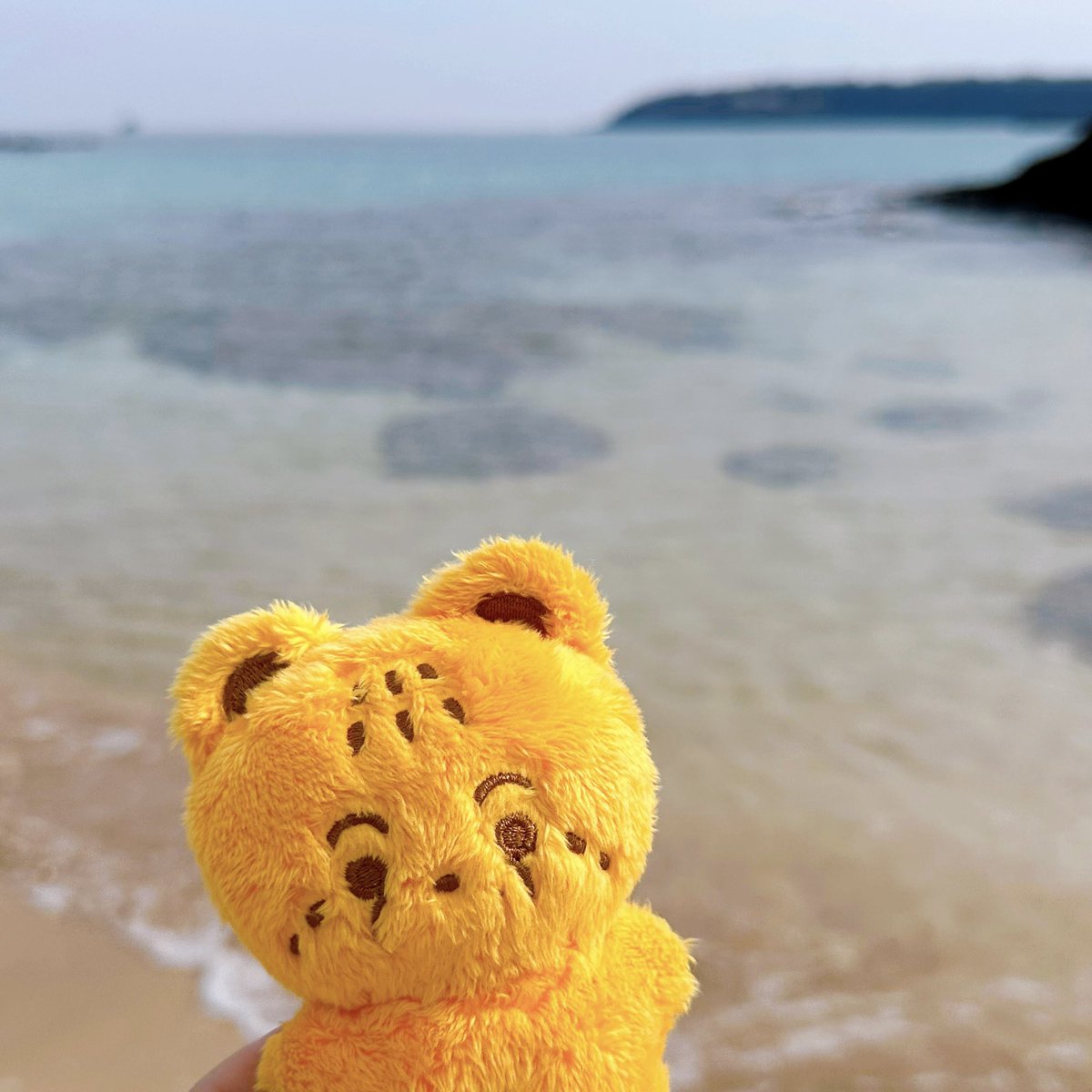 ch2secook1e's tweet photo. 💗마크짱 마크멋있어요💗

모두모두 행복한 하루 보내시라고 알티 추첨 한 분께 치쿠 보내드릴게요오🧀💛

#2YEARSwithCHILD
#차일드_2살됐어요_축하해 https://t.co/MzIBPktMmS