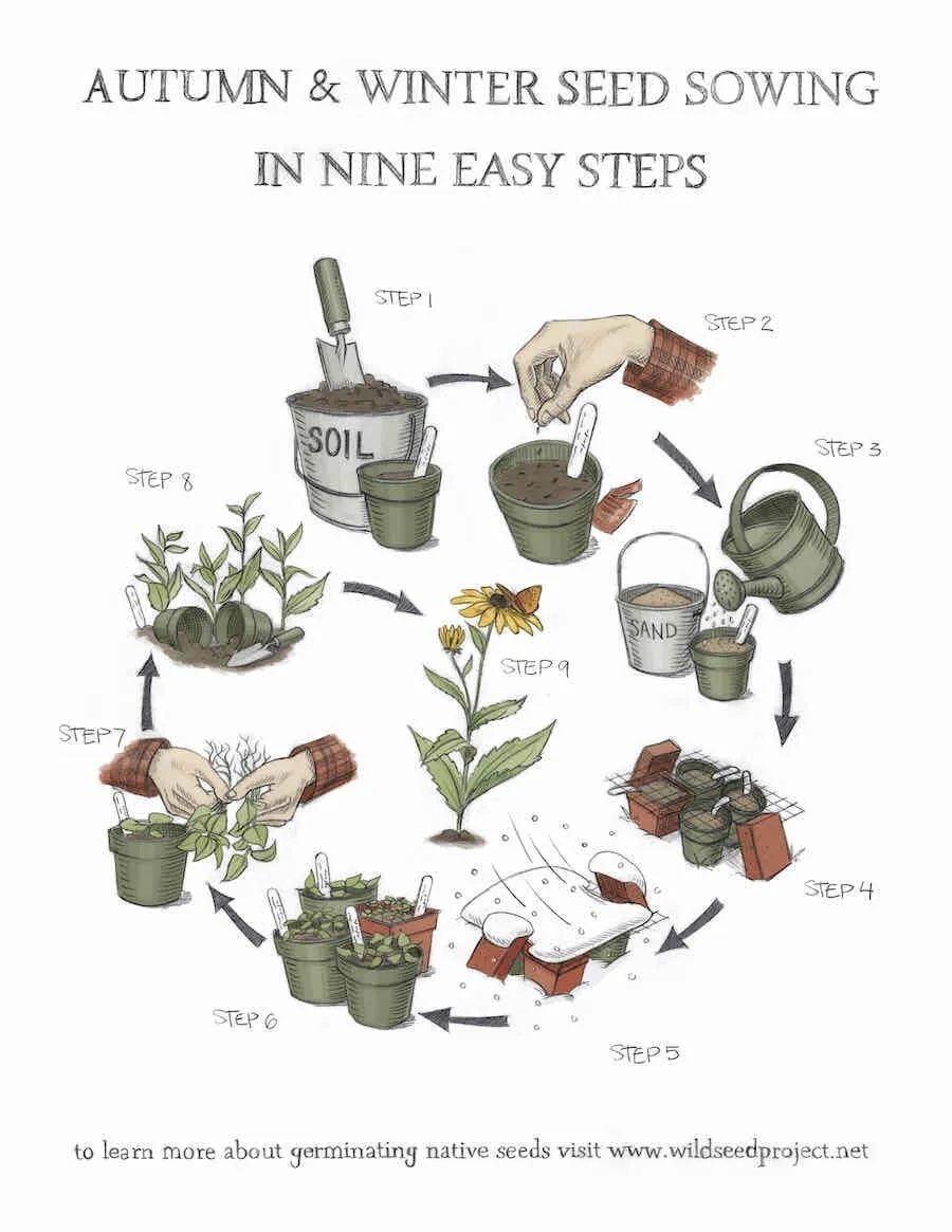 creativemorning's tweet photo. This calculator helps you calculate when to sow seeds for native plants. https://t.co/kXX6161DxC #CMnative https://t.co/nUZUd6s0lQ