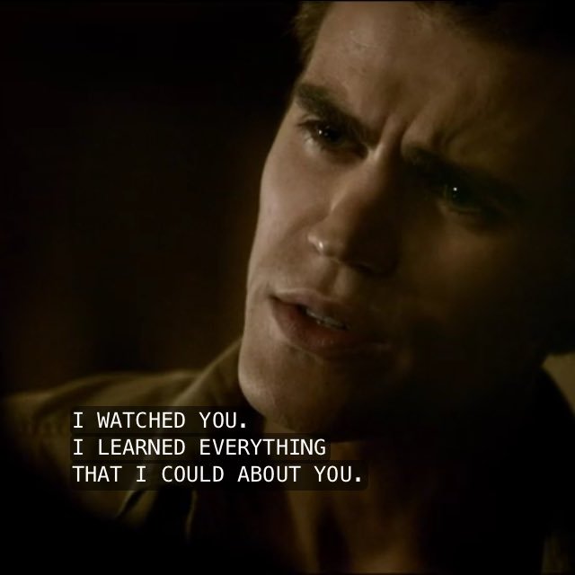 Stefan Salvatore is a pathological liar. He feels no guilt for lying or hiding the truth and often places the blame on something else, person or changes the subject.